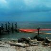 Pelicans and Hard Boom
